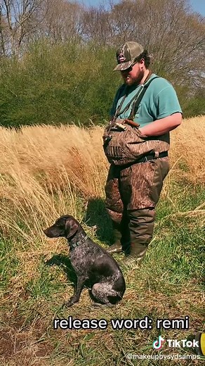 Training Our Self-Trained 1-Year-Old GSP for Her First Hunt Test