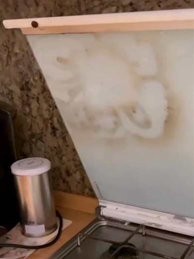 Ridiculous Cooking Reactions That Will Make You Laugh