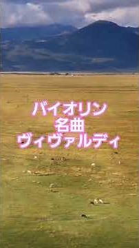 #37 🎻 バイオリン名曲ベスト | ヴィヴァルディ「四季」より #classicalmasterpiece #クラシック名曲 #クラシック