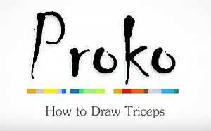 【生肉】Proko: How to Draw Arms Back View - Triceps Anatomy for Artists