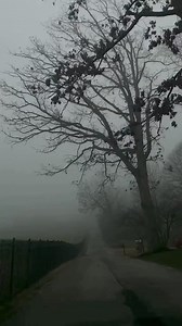 By: blackbadger_18 | Metamorphosis