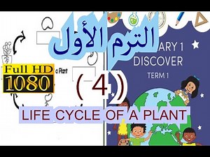 أولى إبتدائى شرح عملى ل LIFE CYCLE OF A PLANT و ال MIXING COLORS أولى إبتدائى بأسهل الطرق .