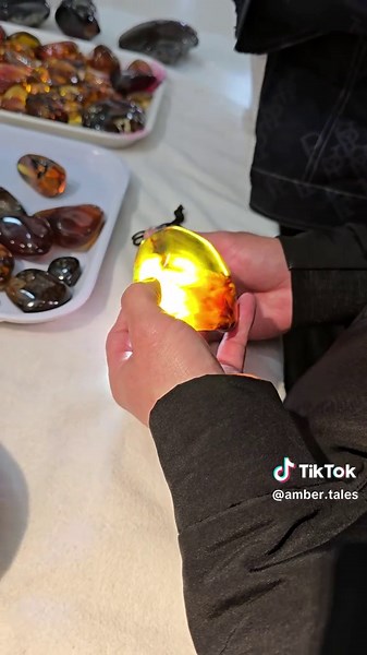 The amber dealer is examining a piece of raw amber stone before he decided to buy it. #ambermarket #amberrawstone #roughamber