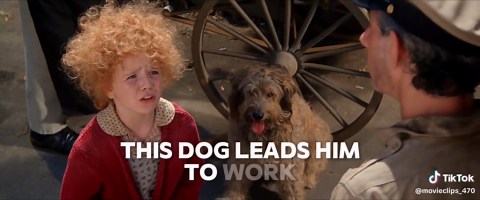 Annie & her new friend🤭🥰 1982🎬 #musically #movie #scene #sandy #dog #viral #scene #girl #80s #animal #dogpound #film #orphan #childhood #aileenquinn #movieclip #carolburnett #annie #moviescene