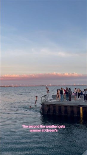 Everybody is out & about at the Pier !!!!