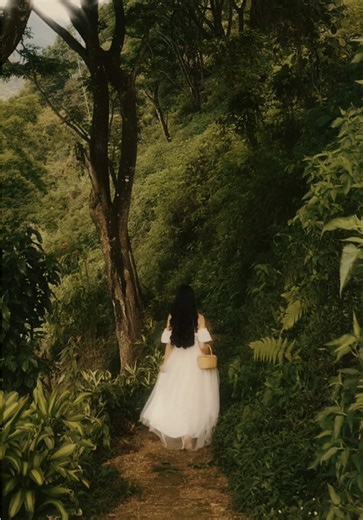 Replying to @Go inez Queen 🥹 #aesthetic #fairytale #fyp #fairytail #fairycore