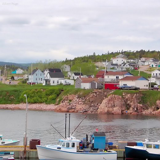 97% of Canadians want the government to rebuild sustainable fisheries. But most of Canada’s critically depleted fisheries have no rebuilding plan, leaving them vulnerable to collapse. The Fisheries Act of 2019 promised a better future for our oceans, but no new regulations have been enforced to create sustainable fisheries or to recover depleted stocks. We need to act now, while the opportunity to create a sustainable Ocean Economy is within reach. | Oceana Canada