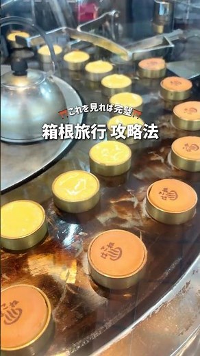 ＼Watch this for a complete guide／ Hakone trip strategy #shorts #Hakone #sightseeing