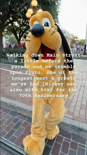 Disneyland Character Meet and Greet with Pluto | 70th Anniversary Celebration #disneylandcharacters