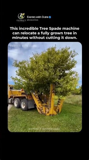Amazing Tree Spade Machine Relocates Huge Trees in Minutes 🌳🚜