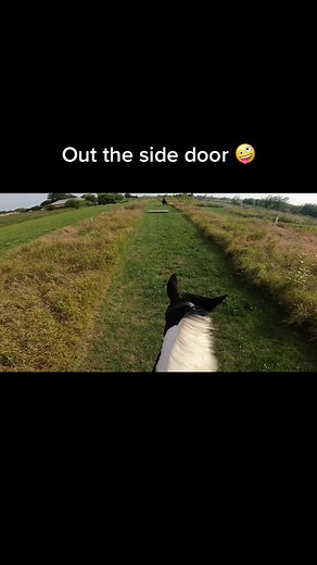 Crazy Horse Jumping Fails Compilation