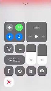 MLB spring training standings