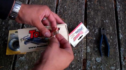 Testing urban pest control strategies to combat rat infestations