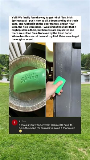 Irish Spring soap placed by doors gets rid of flies completely #IrishSpringHack