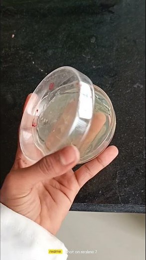 Petri Dish Handling Technique | @ Professional Pharmacy 1 | Microbiology |Microbiology practical |