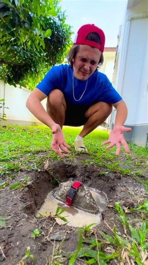 Pet Rock's Daily Routine: Feeding, Bathing & Walking Fun!