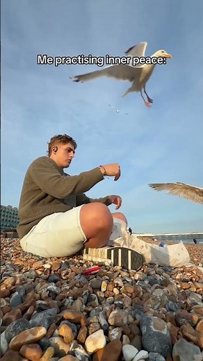 Seagulls Attack Man on Beach - 1674203