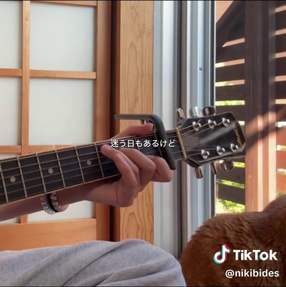 夏の思い出を歌うサマーソング集