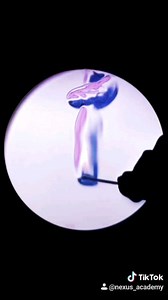 Schlieren Imaging — an incredible optical technique that lets you see air currents. This technique relies on a point source of light, a spherical concave mirror, a blade/knife edge, and of course, a camera. It's able to discern variations in the refractive index of air.