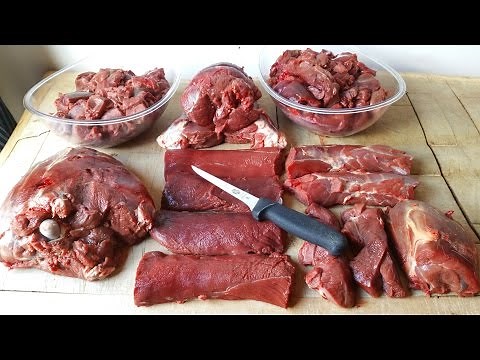 Butchering A Roe Deer Buck. TheScottReaProject
