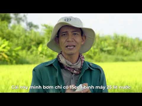 Vayego 200SC trừ cả sâu đục thân và sâu cuốn lá