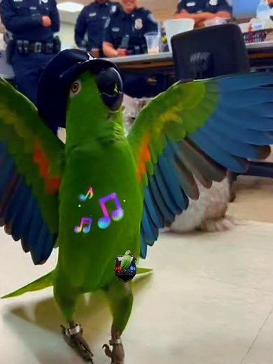 When Officer Parrot Performed Opera for a Cat