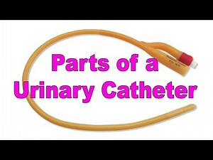 Parts of a Urinary Catheter