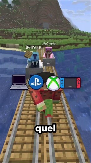 Ces joueurs sont fous sur Minecraft !