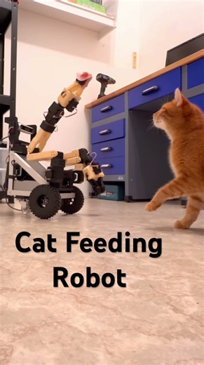 I made Cat Feeding robot from Scratch