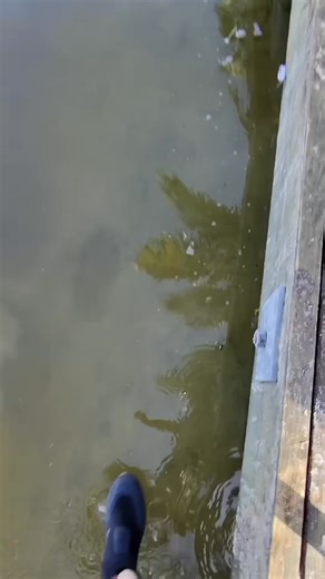 Installing A Well Point for a Sea Wall #fblifestyle | CCary Bliss