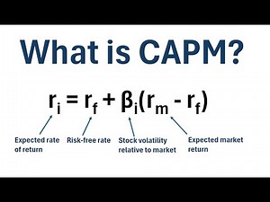 The Capital Asset Pricing Model (CAPM)