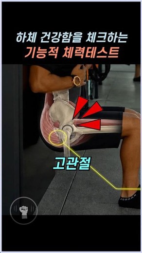 Functional Fitness Test to Check Lower Body Health