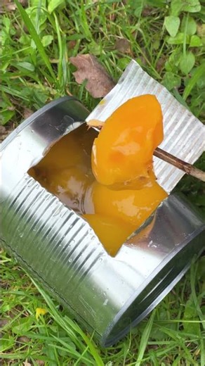 Make Popcorn Over the Campfire with a Can