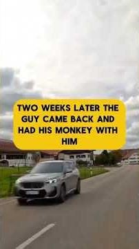 LAUGH OUT LOUD With These Hilarious Jokes!