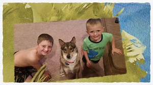 2.4K views · 69 reactions | Please take a few minutes to watch our video, Every Dog Needs A Kid featuring Pet Search Alumni with their kids!! | Pet Search | Facebook