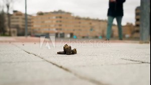 A man in brown leather boots walks down the street and steps in dog poop. Some owners have not picked up their pet's droppings. Bad luck or good luck, depending on how you look at it.