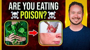 Oxalates and Oxalate Dumping: What’s Really Going On?