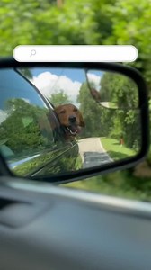 Have you ever felt carsick? 😵‍💫 Don’t let motion sickness ruin your ride! Find relief with Advanced Herbals™ Non-Drowsy – so you can enjoy the journey, not the nausea 🚗✨ Shop now through the link in bio! #TravelSmart #Dramamine #NoMoreMotionSickness | Dramamine