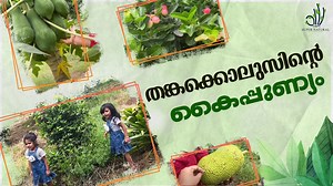 197K views · 3.7K reactions | Thankakolusu is blessed with a beautiful childhood and i hope they will contribute back to thenature in future. | Sandra Thomas | Facebook