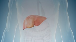 Exploring AACE Updates on the Management of NAFLD & NASH