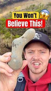 You Won’t Believe What I Found on the Beach! 🤯 #animals #fossils #shorts