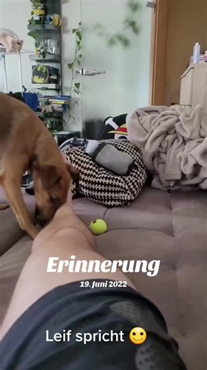 #erinnerung