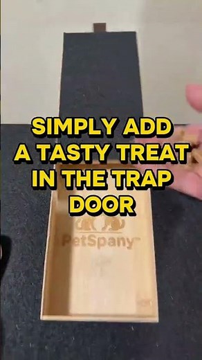 The Easy Way to File Your Dog’s Nails at Home