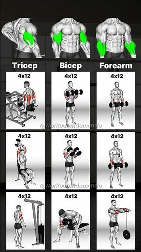 Transform Your Arms: Best Arm Workouts for Strength & Definition!