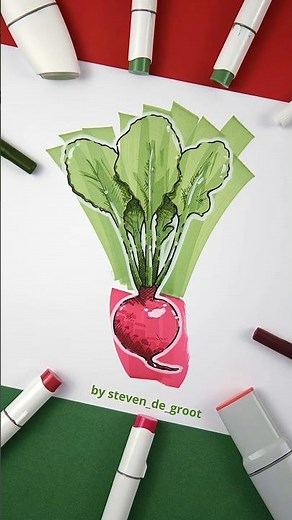 Radish Illustration
