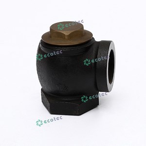 [Hot Item] Ecotec 2 Inch Angle Valve for Sale