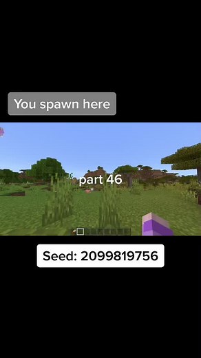 Minecraft Seeds with 13 Blacksmiths - Village, Ravine, Mesa Biome!