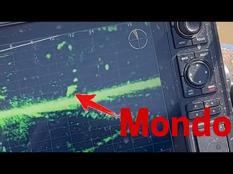 Crappie Fishing with minnows