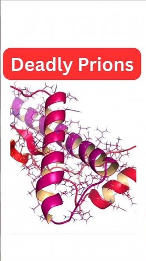 Prions Explained | The Infectious Protein Without DNA or RNA 🧬🧠#prions #dna #rna #brain #science