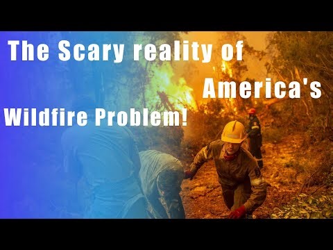 The Scary Reality of America's Wildfire Problem!!